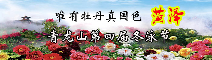 山东菏泽青龙山第四届冬泳节