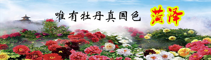 青龙山第八届冬泳节暨世界防溺水联盟活动